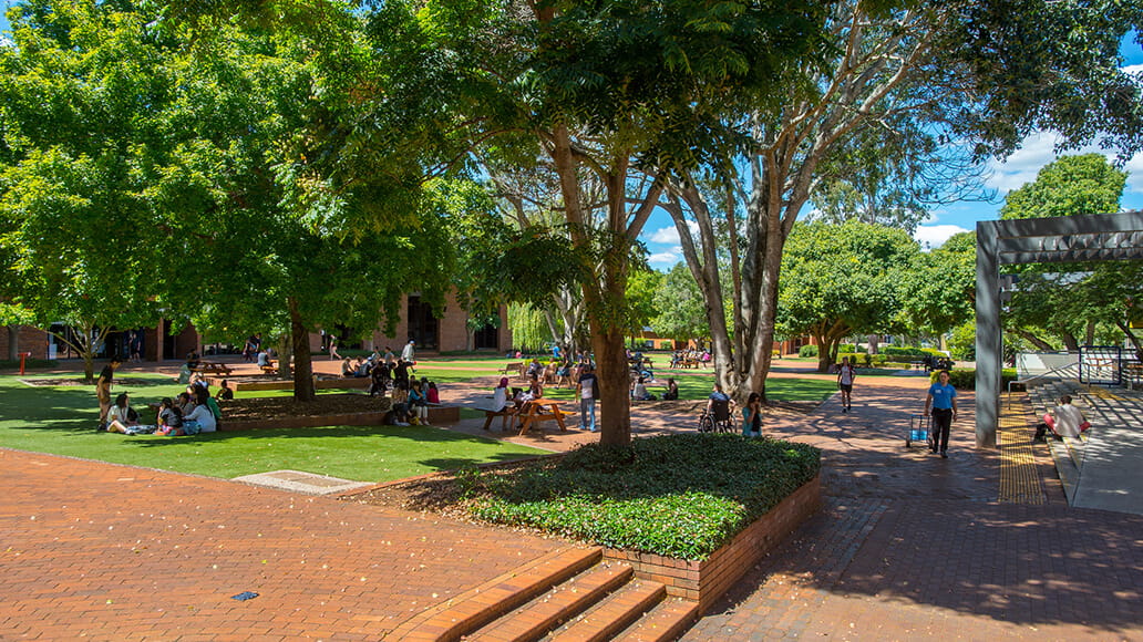 A university campus setting with students sitting on benches and grass under trees on a sunny day.