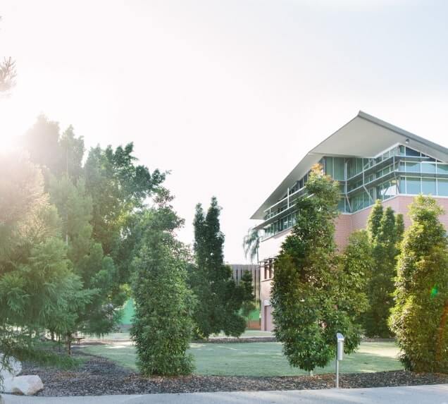 Modern building with large windows surrounded by tall trees, set against a bright sky at UniSQ Ipswich campus.