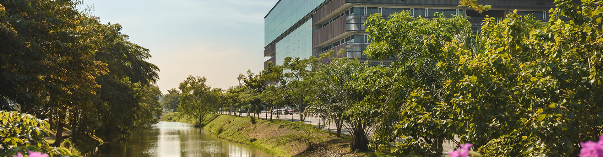 Mahidol University - University Of Southern Queensland