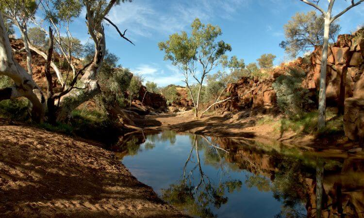 australian landscape 