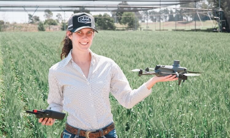 A person stands in a field holding a drone in one hand and a remote control in the other, wearing a striped shirt, jeans, and a cap.