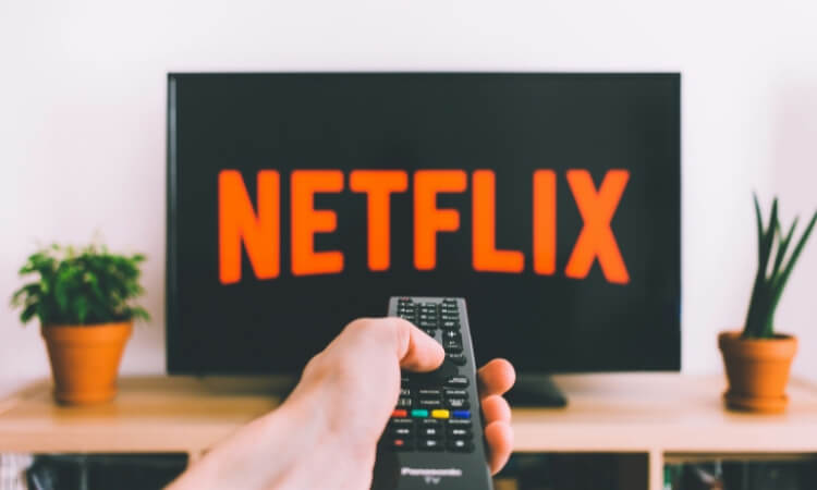 A hand holding a remote control points at a television displaying the Netflix logo, with two potted plants on a table underneath.