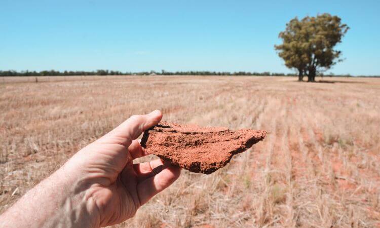 Hand holding a piece of dry, cracked soil with a vast, barren field and a solitary tree in the background under a clear blue sky.